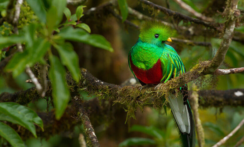 Parque Nacional del Agua