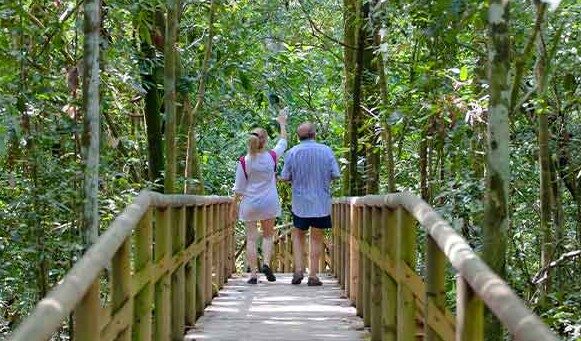 Senderos Parque Nacional Manuel Antonio