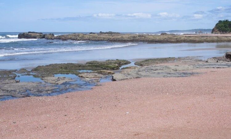 Playa Rosada Guanacaste