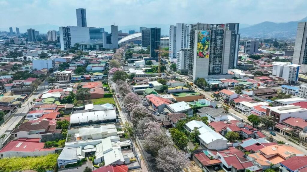 San José Costa Rica - Boulevard Rohrmoser Arbol Roble de Sabana