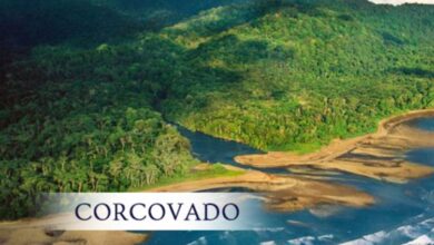 Parque Nacional Corcovado Costa Rica