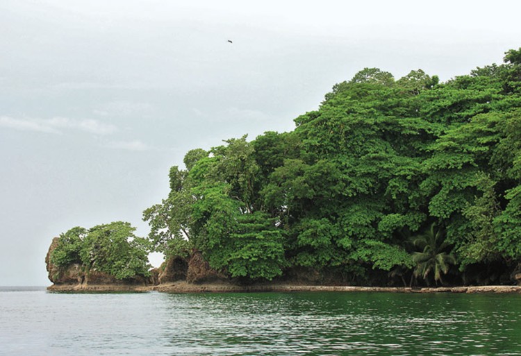 Isla Uvita Limón Costa Rica