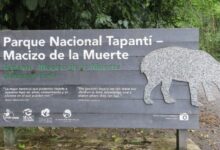 Parque Nacional Tapanti