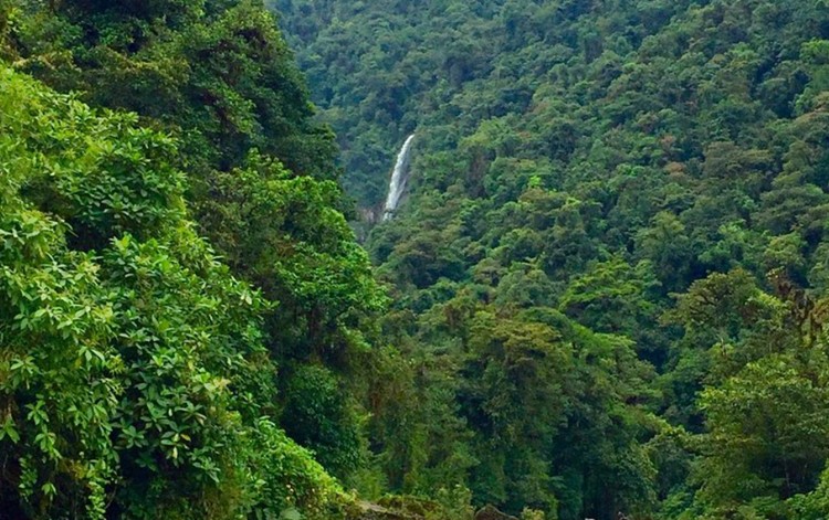 Parque Nacional Tapanti