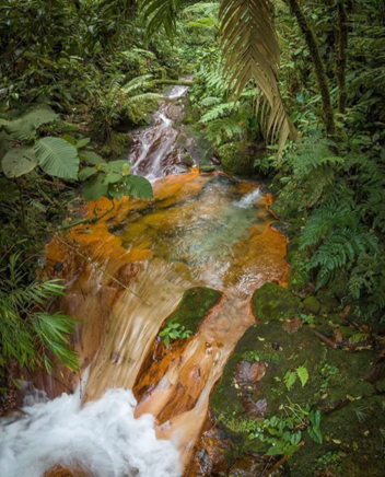 Aguas Termales Braulio Carrillo Costa Rica