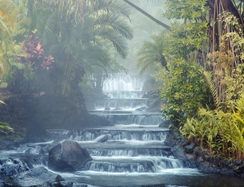 Volcán Arenal y sus aguas termales