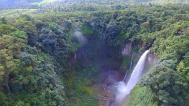 Catarata San Vicente