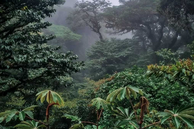 Monteverde, Costa Rica