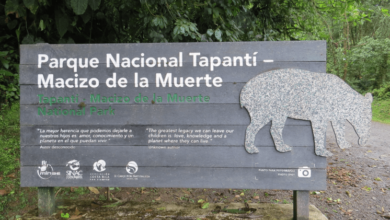 Parque Nacional Tapantí