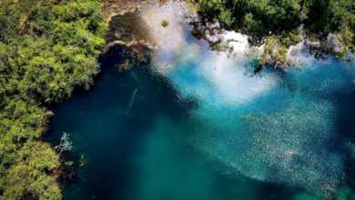 Parque Nacional del Agua Juan Castro Blanco