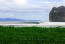 Playa Naranjo Parque Nacional Santa Rosa