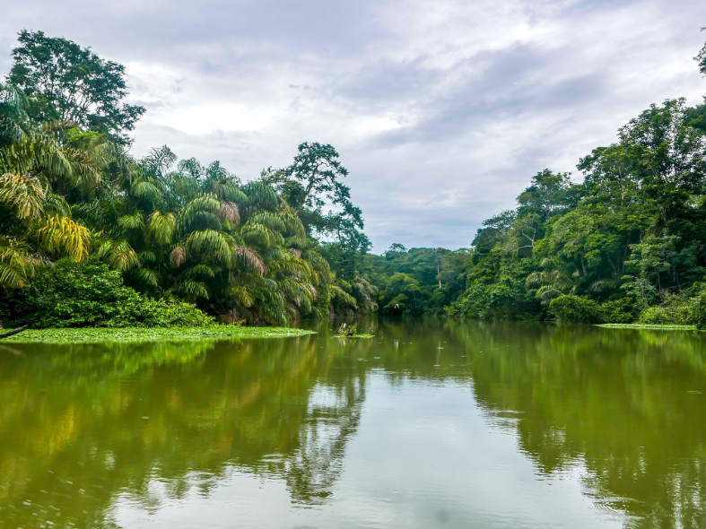 Canales del Parque Nacional Tortuguero. Fuente: Albert Schweitzer / Getty Images
