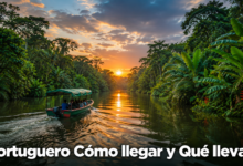 Tortuguero Guía de Viaje Cómo llegar Qué llevar