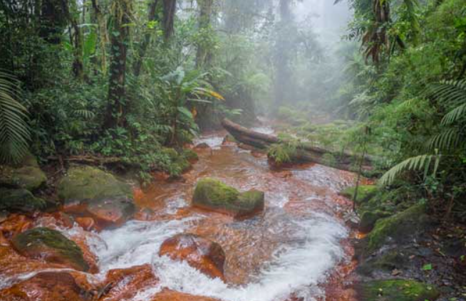 Aguas Termales Parque Nacional Braulio Carrillo