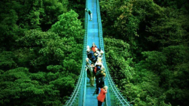 Monteverde Costa Rica