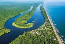 Tortuguero