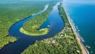 Tortuguero