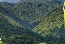 Parque Nacional Braulio Carrillo
