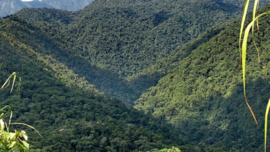 Parque Nacional Braulio Carrillo