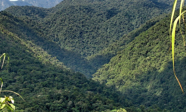 Parque Nacional Braulio Carrillo